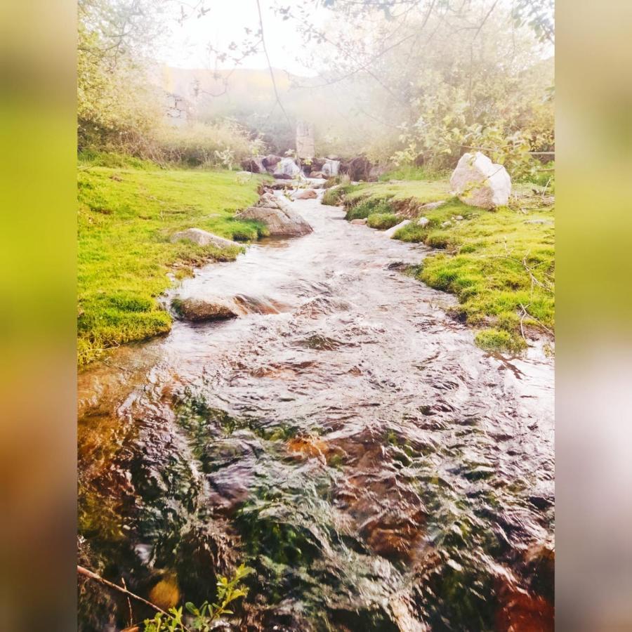 Affittacamere El Eden De Javier Robledillo Esterno foto